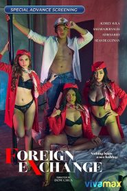 Foreign Exchange (2025)