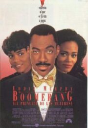 Boomerang (1992) บูมเมอแรง รักหลอกเจอศอกกลับ